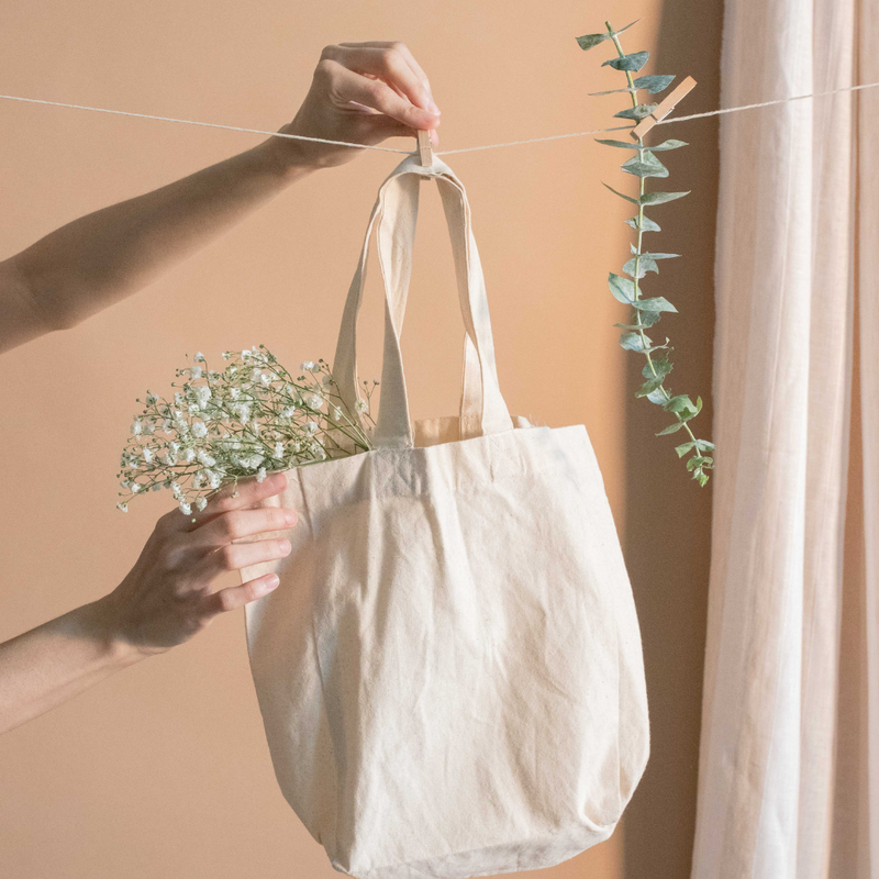 Living An Eco-Friendly Lifestyle