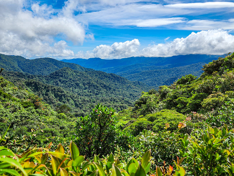 The Five R’s To a More Sustainable Future