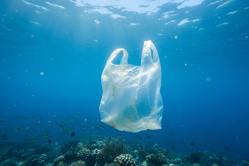 Soft Plastics Recycling in New Zealand: Why It Matters & How You Can Help