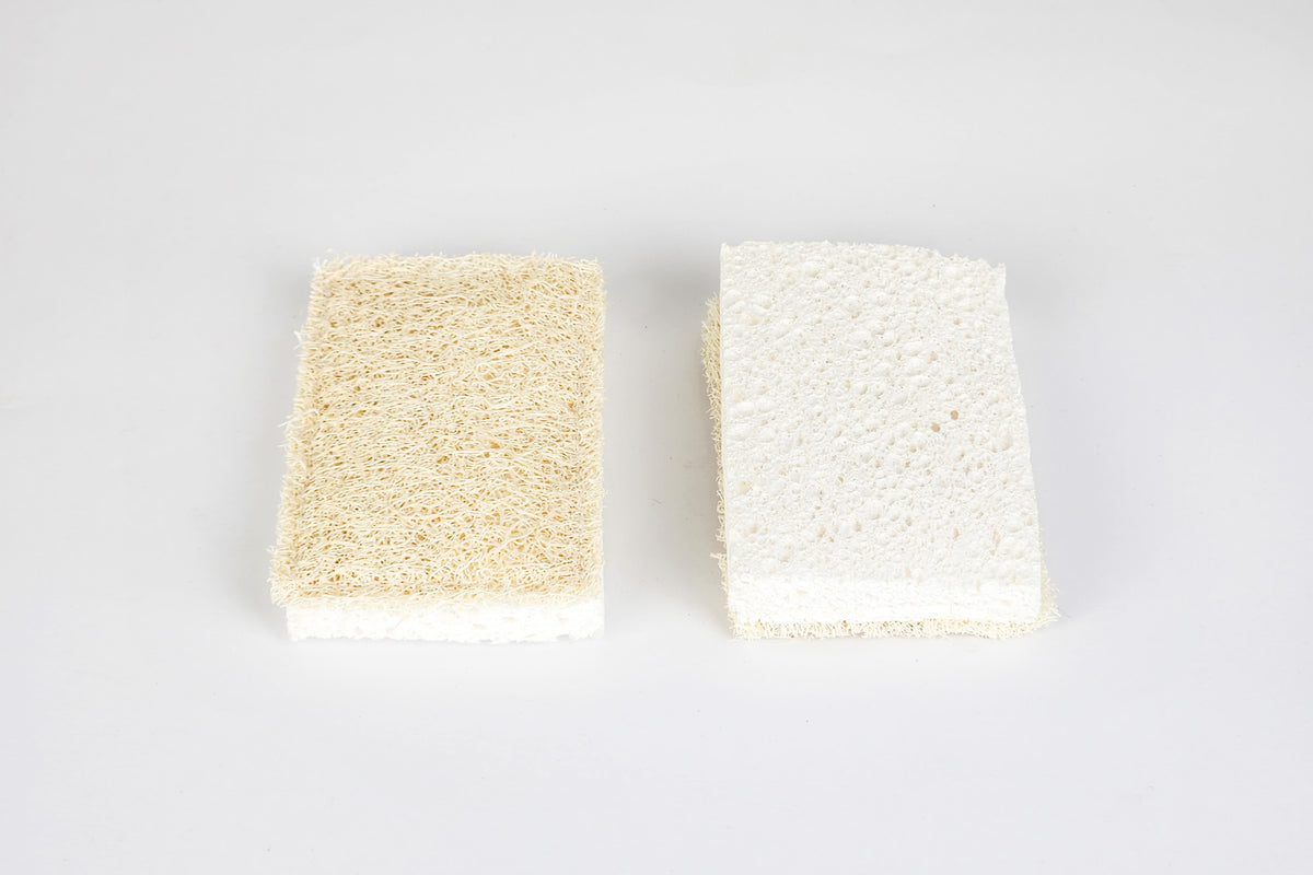 eco friendly cleaning sponge