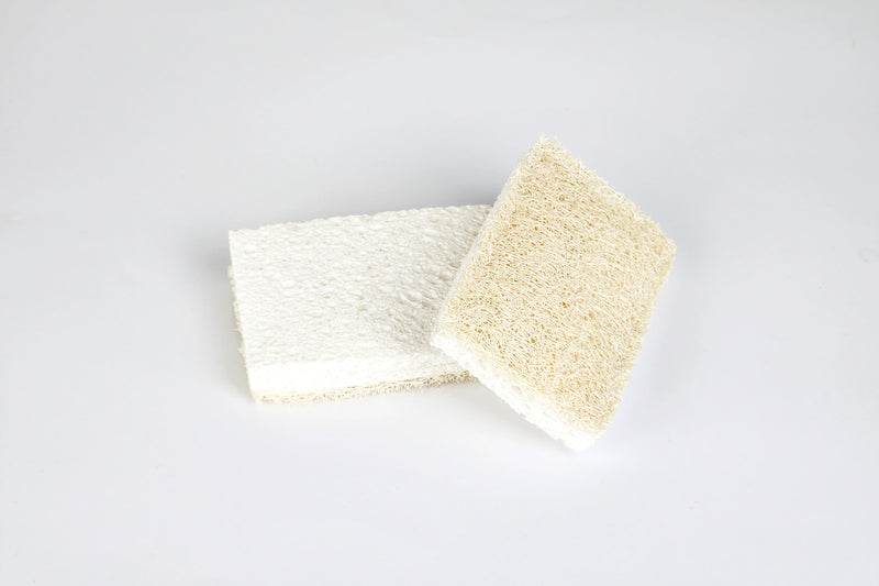 eco friendly cleaning sponge