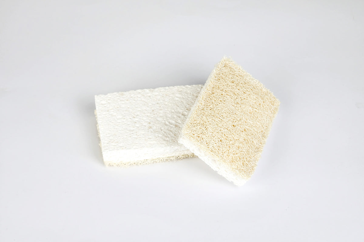 eco friendly cleaning sponge scourer