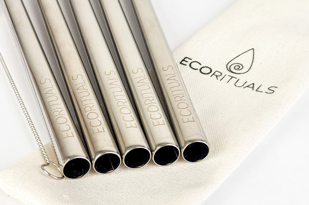 Smoothie Stainless Steel Straw 6 Piece Set – Eco Rituals